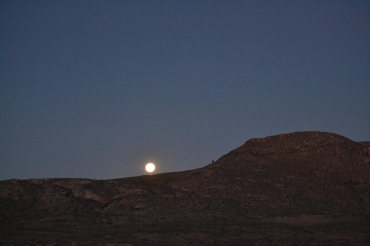 ספרינגבוק Sperrgebiet Lodge מראה חיצוני תמונה